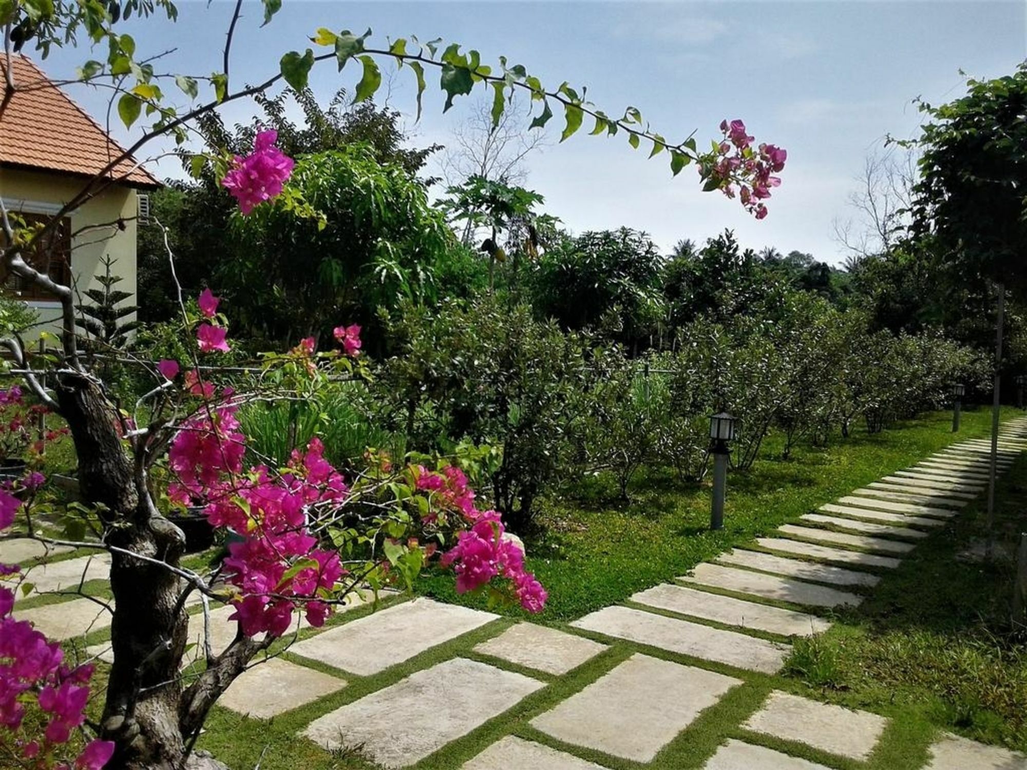 Spring Garden Homestay 두옹 동 외부 사진