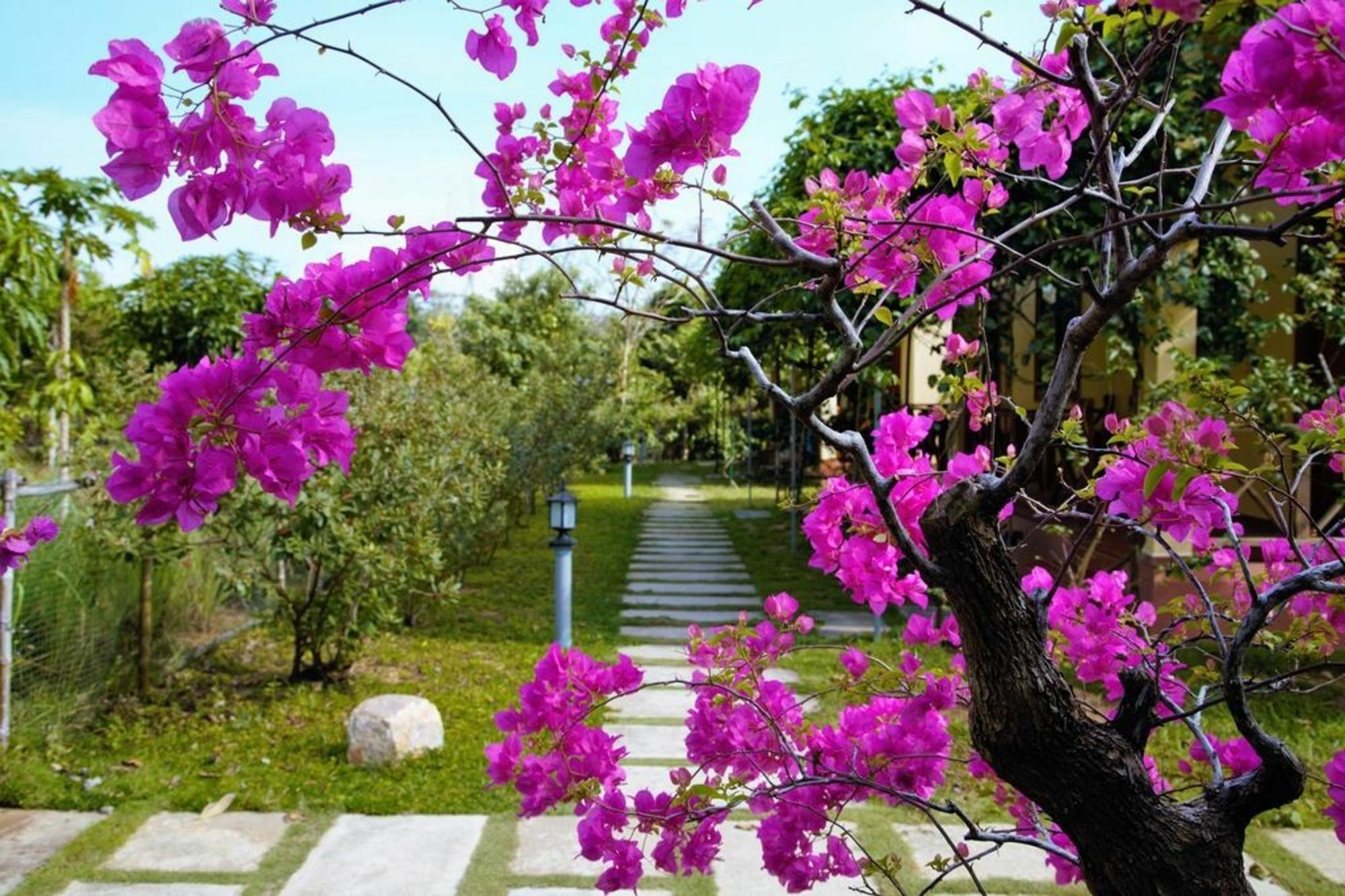 Spring Garden Homestay 두옹 동 외부 사진