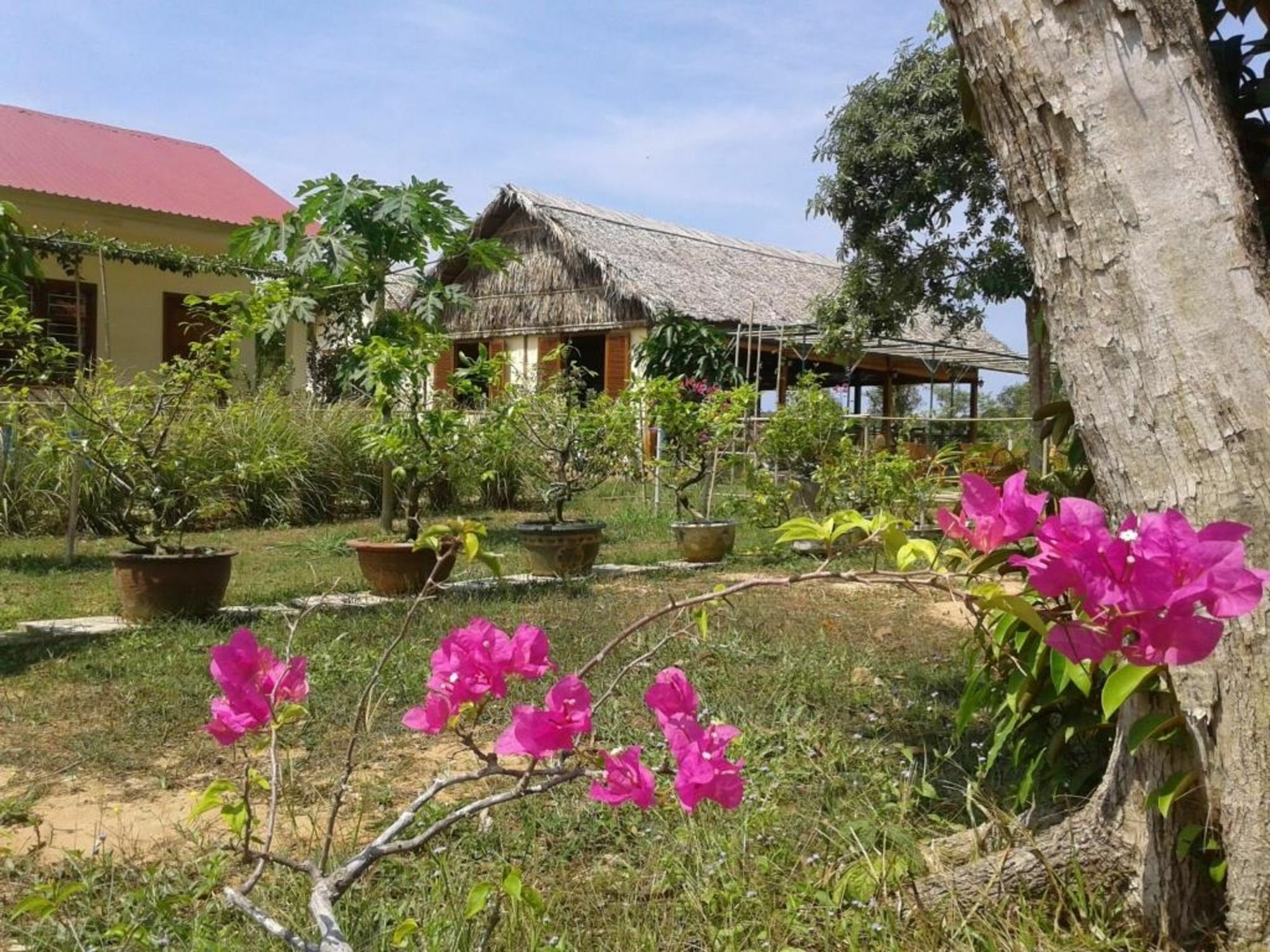 Spring Garden Homestay 두옹 동 외부 사진